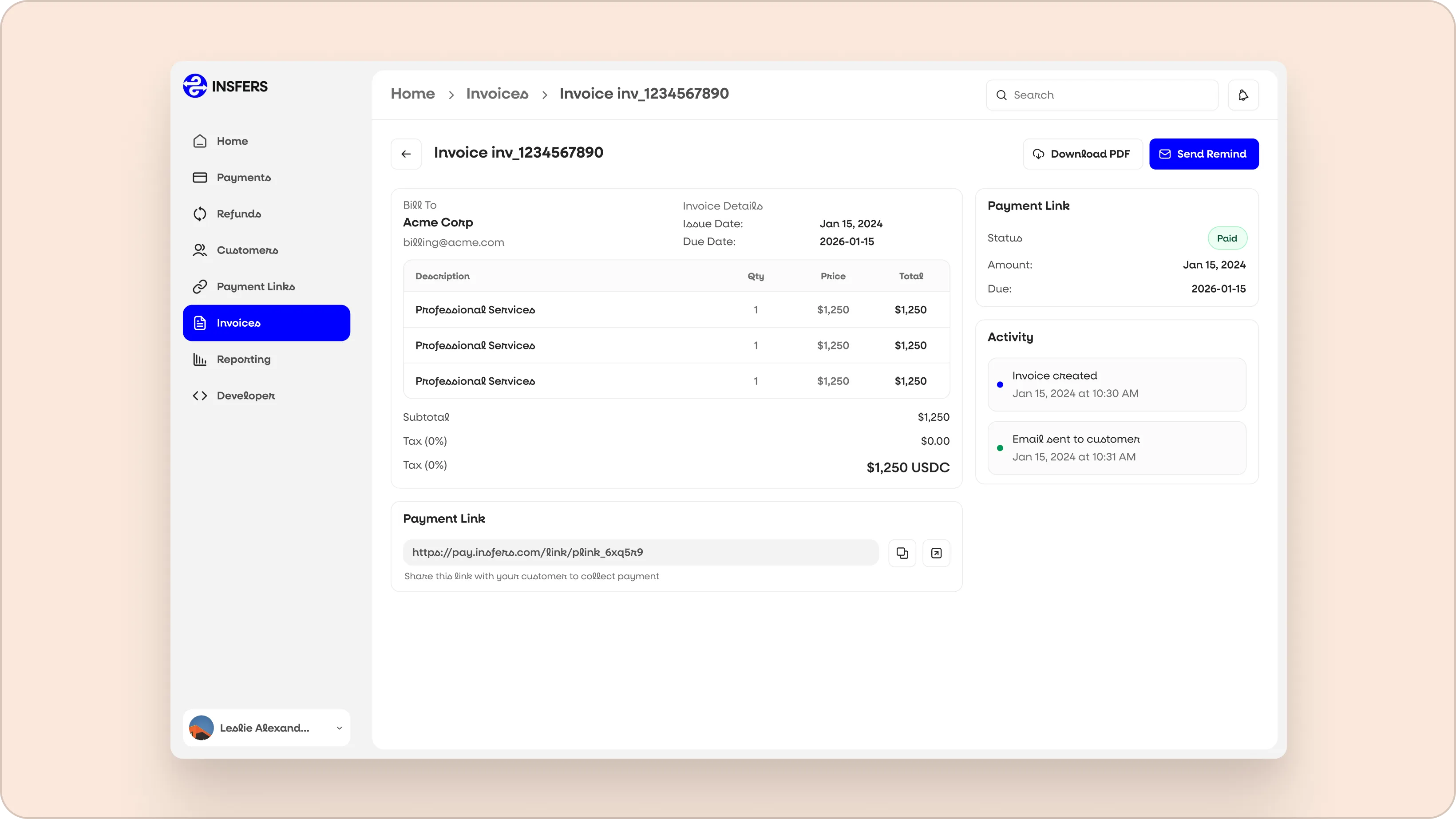Insfers developer console with API keys, webhook configuration, and delivery logs